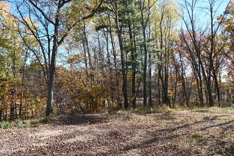39906 Pine Island Pt Drive Browerville MN 56438