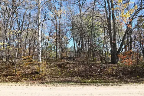 39906 Pine Island Pt Drive Browerville MN 56438
