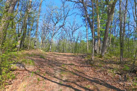 39906 Pine Island Pt Drive Browerville MN 56438