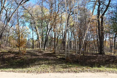 39906 Pine Island Pt Drive Browerville MN 56438