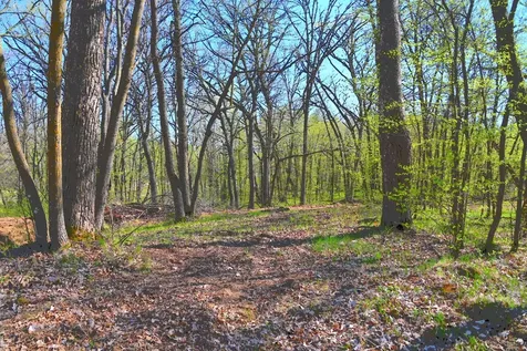 39906 Pine Island Pt Drive Browerville MN 56438