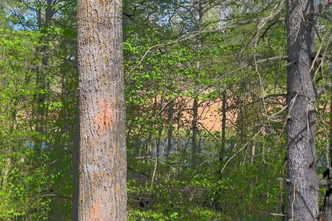 39906 Pine Island Pt Drive Browerville MN 56438