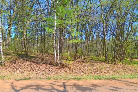 39906 Pine Island Pt Drive Browerville MN 56438