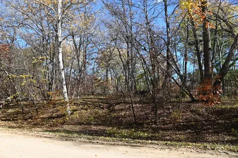 39906 Pine Island Pt Drive Browerville MN 56438