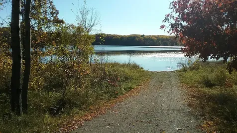 39906 Pine Island Pt Drive Browerville MN 56438