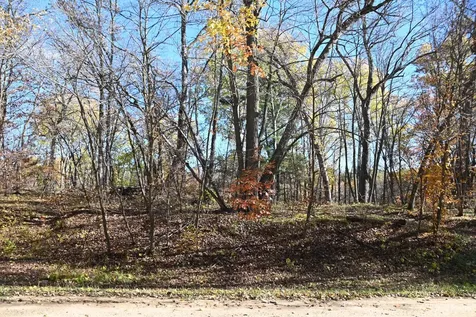 39906 Pine Island Pt Drive Browerville MN 56438