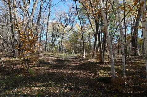 39906 Pine Island Pt Drive Browerville MN 56438