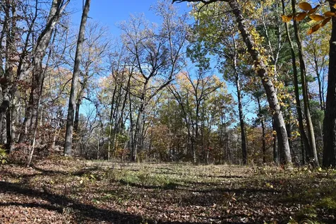 39906 Pine Island Pt Drive Browerville MN 56438