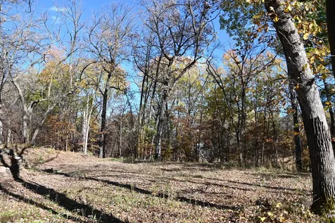 39906 Pine Island Pt Drive Browerville MN 56438