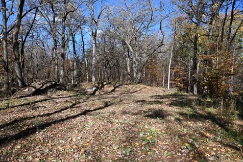39906 Pine Island Pt Drive Browerville MN 56438