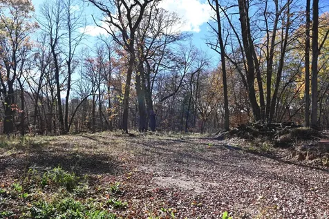 39906 Pine Island Pt Drive Browerville MN 56438