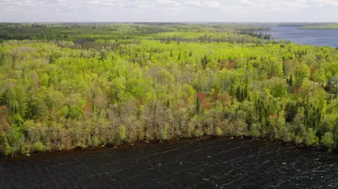 Parcel A S Niles Bay Forest Road Orr MN 55771