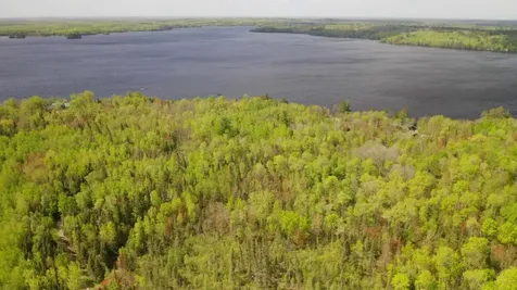 Parcel A S Niles Bay Forest Road Orr MN 55771