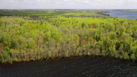 Parcel B S Niles Bay Forest Road Orr MN 55771