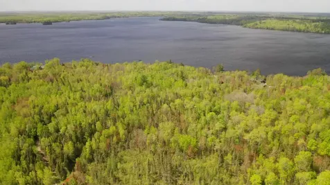 Parcel C S Niles Bay Forest Road Orr MN 55771