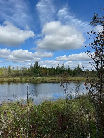 Tbd W County Road 3 International Falls MN 56669