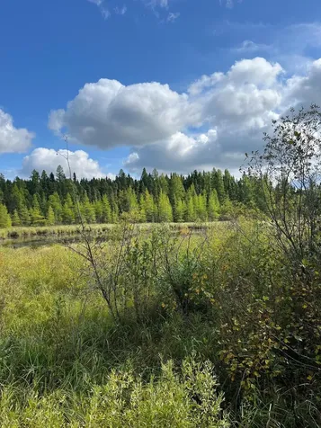Tbd W County Road 3 International Falls MN 56669
