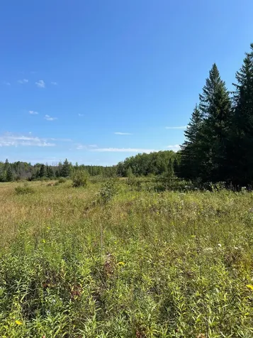Tbd W County Road 3 International Falls MN 56669