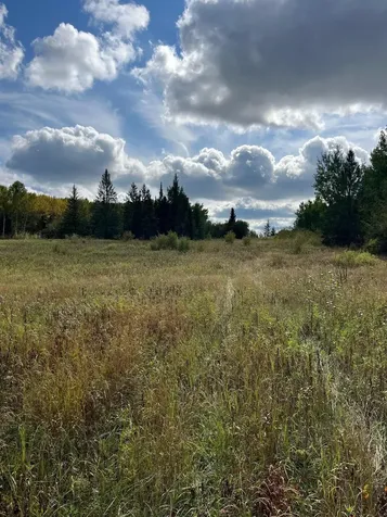Tbd W County Road 3 International Falls MN 56669