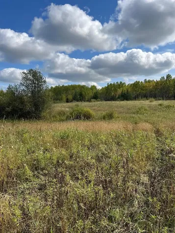 Tbd W County Road 3 International Falls MN 56669