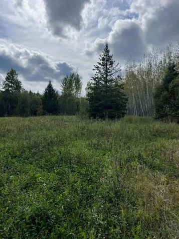 Tbd W County Road 3 International Falls MN 56669