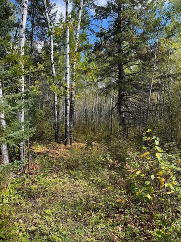 Tbd W County Road 3 International Falls MN 56669