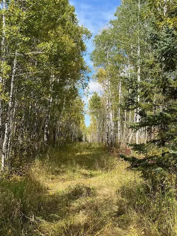 Tbd W County Road 3 International Falls MN 56669