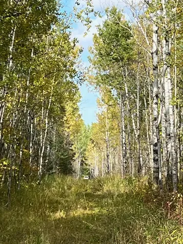 Tbd W County Road 3 International Falls MN 56669