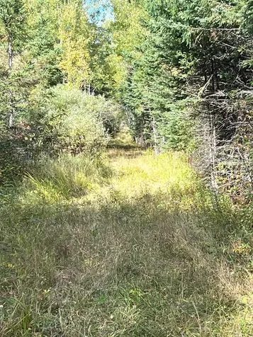 Tbd W County Road 3 International Falls MN 56669