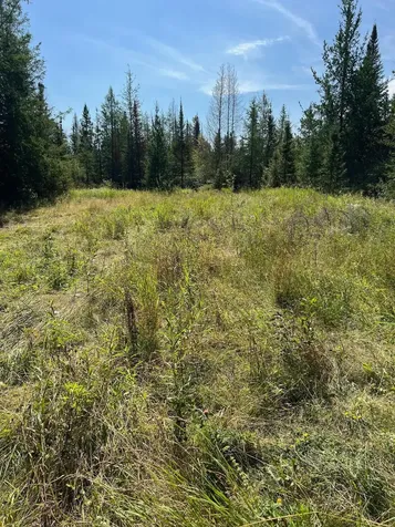 Tbd W County Road 3 International Falls MN 56669