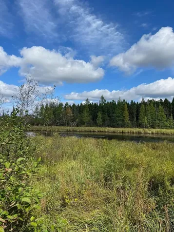 Tbd W County Road 3 International Falls MN 56669
