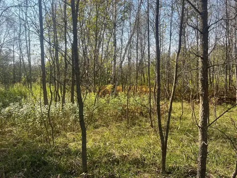 00000 County Highway 61 Hinckley MN 55037