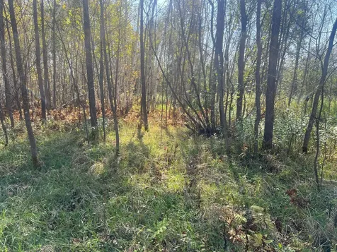 00000 County Highway 61 Hinckley MN 55037