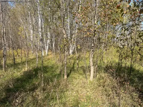 00000 County Highway 61 Hinckley MN 55037