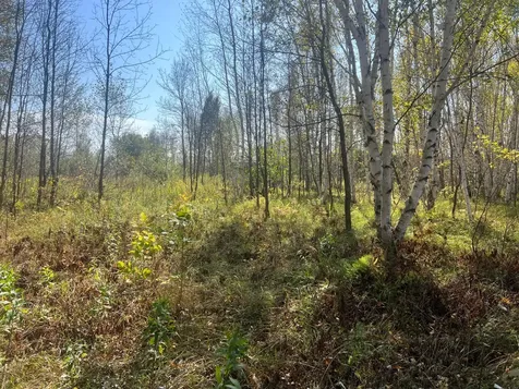 00000 County Highway 61 Hinckley MN 55037