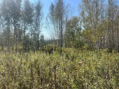 00000 County Highway 61 Hinckley MN 55037