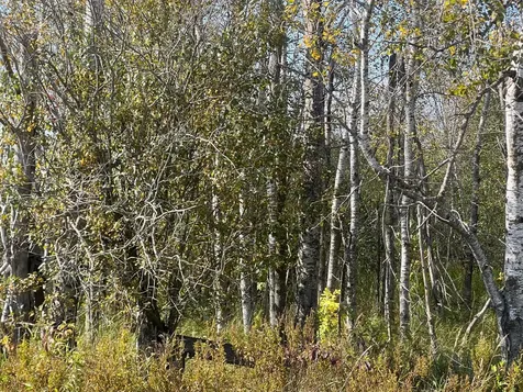 00000 County Highway 61 Hinckley MN 55037