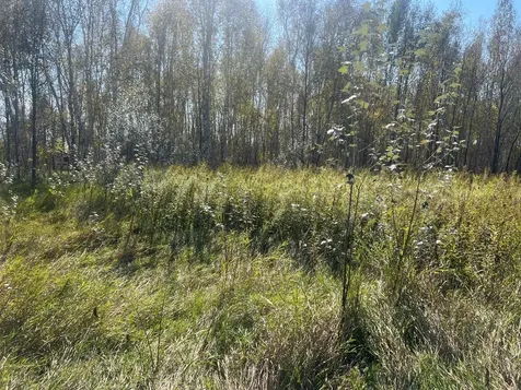 00000 County Highway 61 Hinckley MN 55037