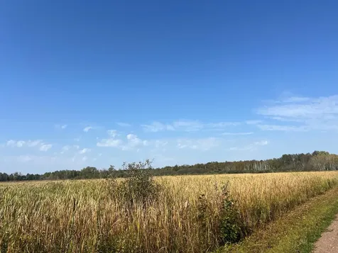 00000 County Highway 61 Hinckley MN 55037