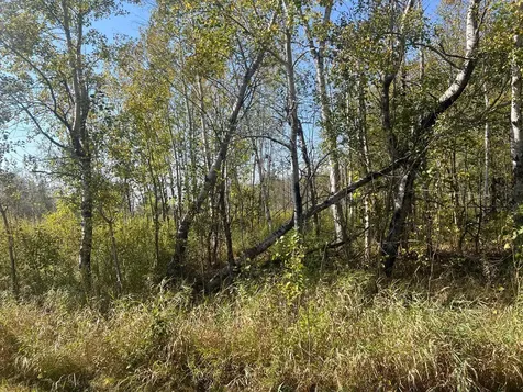 00000 County Highway 61 Hinckley MN 55037