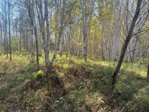 00000 County Highway 61 Hinckley MN 55037