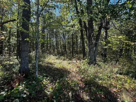 Tbd County Road 2 Brainerd MN 56401
