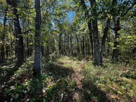 Tbd County Road 2 Brainerd MN 56401