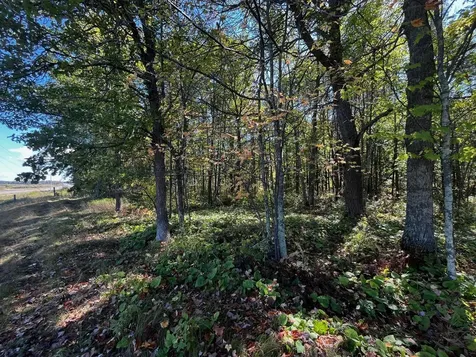 Tbd County Road 2 Brainerd MN 56401