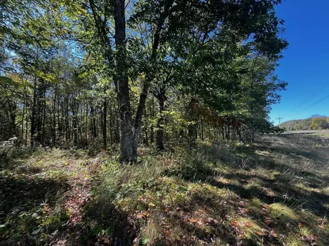 Tbd County Road 2 Brainerd MN 56401