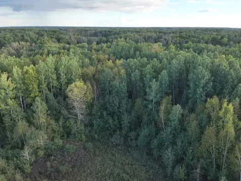 60XX Rush Point Dr Street Harris MN 55032