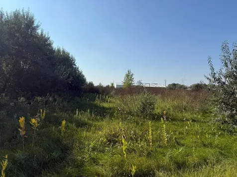 6655 Us 10 Highway Glyndon MN 56547