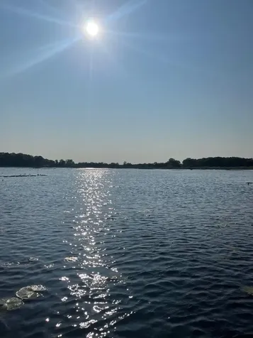 17265 Ward Lake Drive NW Andover MN 55304