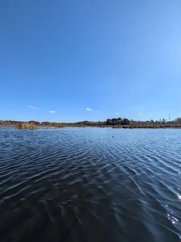 17265 Ward Lake Drive NW Andover MN 55304
