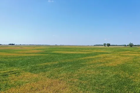 Tbd County 8 Campbell MN 56522